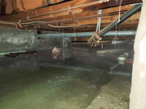 Water damage restoration mold remediation in Montrose Ghent, OH