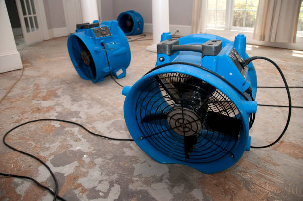  Montrose Ghent, OH Water damage restoration Pros