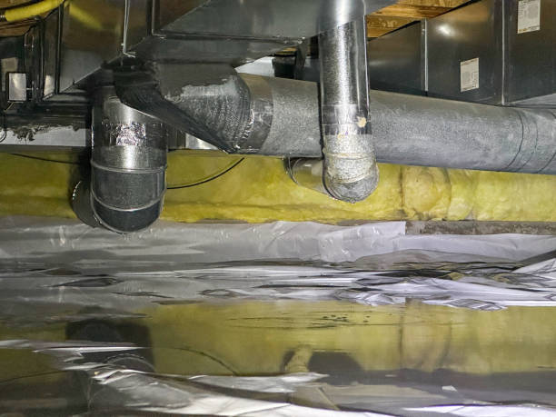 Best Water damage contractors near me  in Montrose Ghent, OH