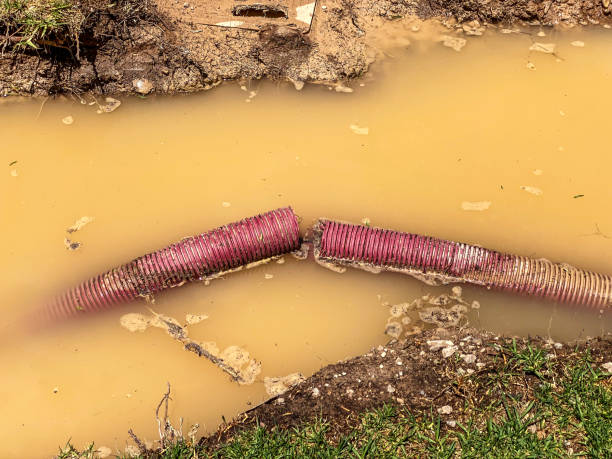 Montrose Ghent, OH Water damage restoration Company