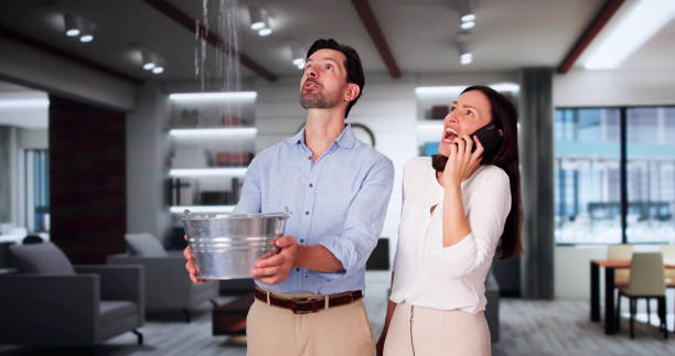 Water damage restoration mold remediation in Montrose Ghent, OH